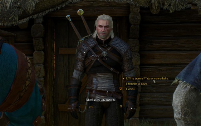 Witcher III - Wild Hunt 2015-05-22 12-00-01-37