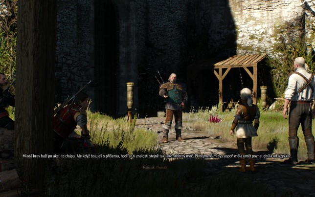 witcher3 2015-05-19 07-58-17-41